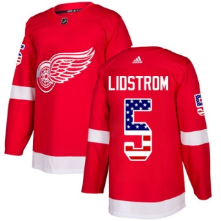 Men's Nicklas Lidstrom Detroit Red Wings Adidas USA Flag Fashion Jersey - Authentic Red