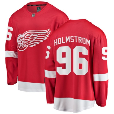 Men's Tomas Holmstrom Detroit Red Wings Fanatics Branded Home Jersey - Breakaway Red