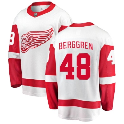 Youth Jonatan Berggren Detroit Red Wings Fanatics Branded Away Jersey - Breakaway White